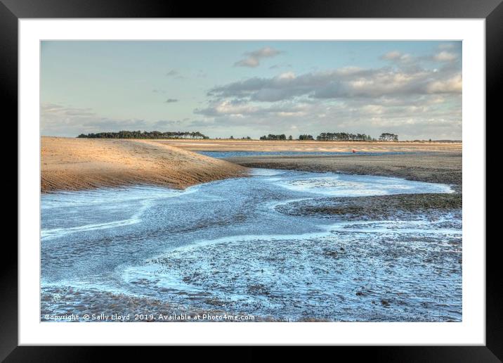 Winter low tide at East Hills Framed Mounted Print by Sally Lloyd