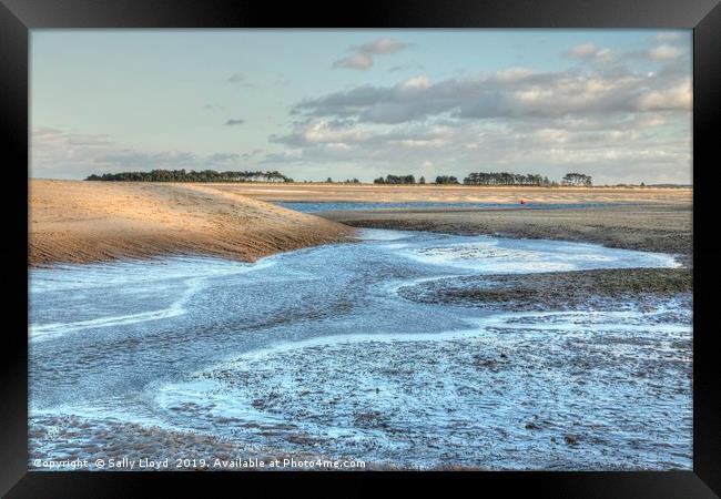 Winter low tide at East Hills Framed Print by Sally Lloyd