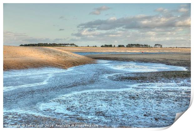 Winter low tide at East Hills Print by Sally Lloyd