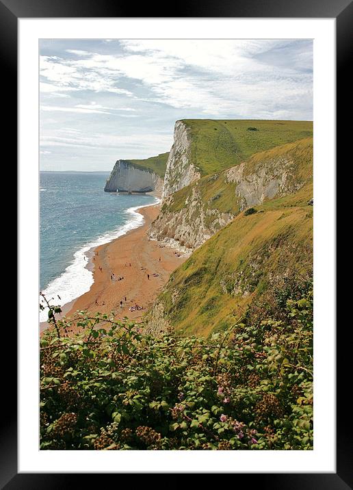 Jurassic Cliffs, Dorset Framed Mounted Print by David Gardener