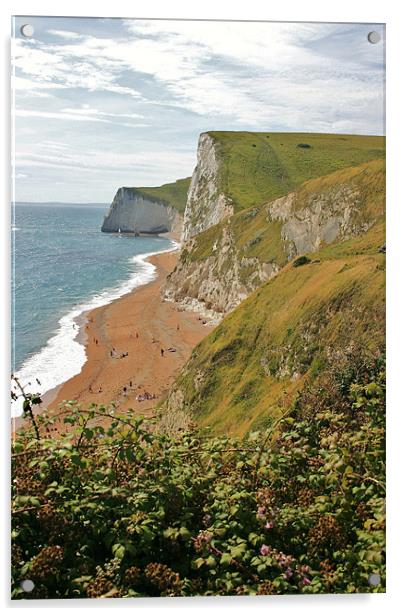 Jurassic Cliffs, Dorset Acrylic by David Gardener