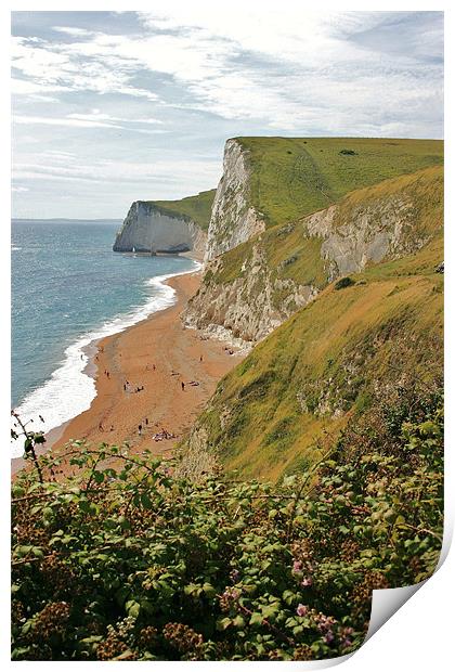 Jurassic Cliffs, Dorset Print by David Gardener