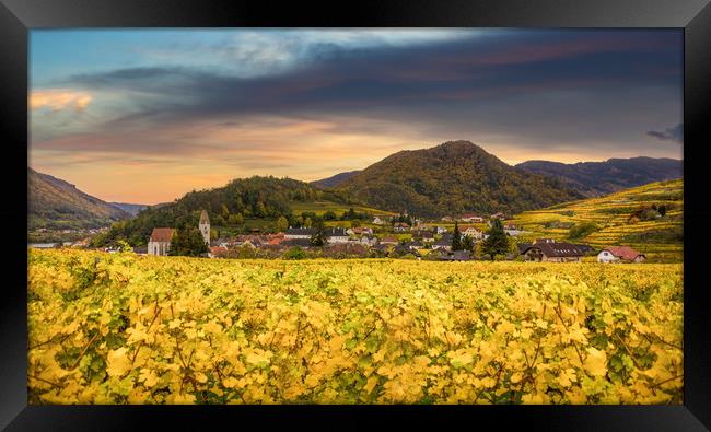 Famous Spitz village with autumn vineyards in Wach Framed Print by Sergey Fedoskin