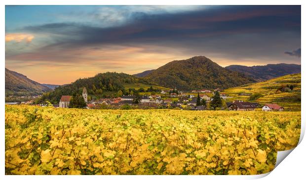 Famous Spitz village with autumn vineyards in Wach Print by Sergey Fedoskin