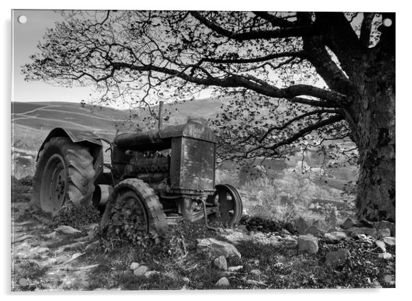 Forgotten Fordson, Kentmere Acrylic by Ian Homewood