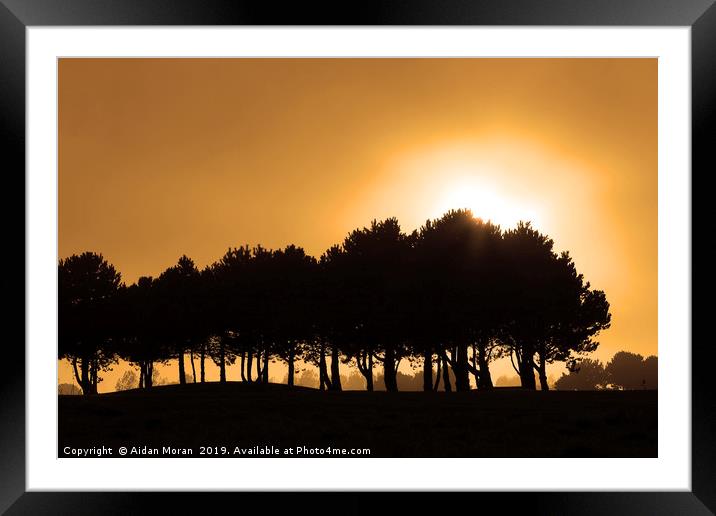 Golden Evening Light In The French Countryside Framed Mounted Print by Aidan Moran