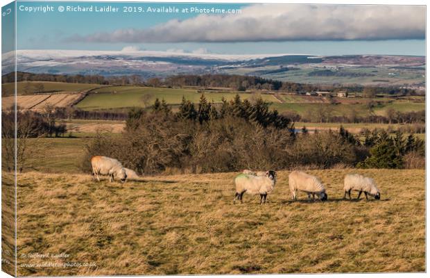 Wintry Teesdale from Barningham Moor Canvas Print by Richard Laidler