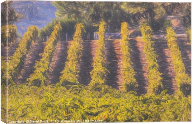 Art Of The Vineyard Canvas Print by David Pyatt