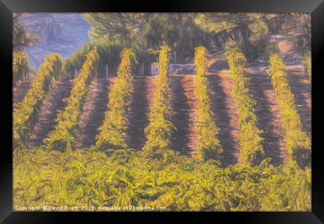 Art Of The Vineyard Framed Print by David Pyatt