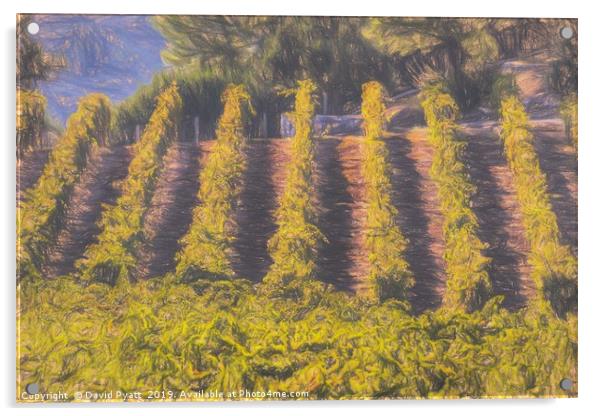 Art Of The Vineyard Acrylic by David Pyatt