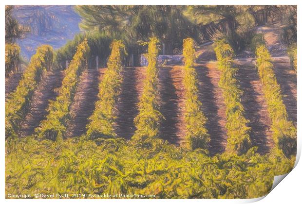 Art Of The Vineyard Print by David Pyatt