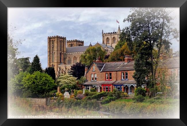 "Ripon Cathedral" Framed Print by ROS RIDLEY