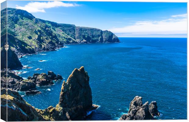 rock cliff in the ocean Canvas Print by David Galindo