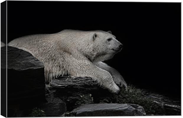 Polar Bear On The Rock Canvas Print by rawshutterbug 