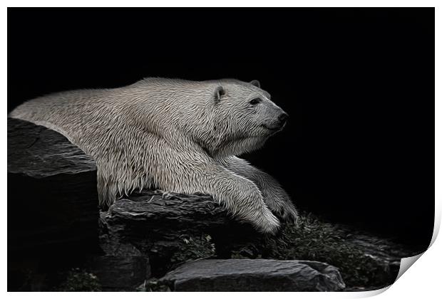 Polar Bear On The Rock Print by rawshutterbug 