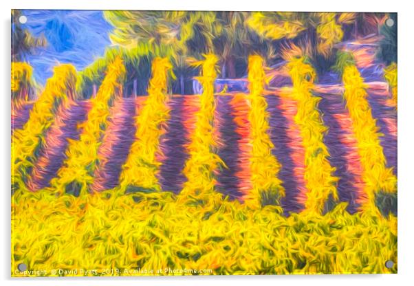 Vineyard Art Acrylic by David Pyatt