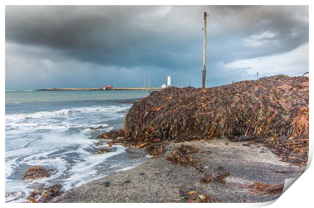 Left by the tide Print by Jonathon barnett