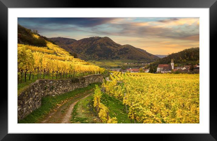 Famous Spitz village with autumn vineyards in Wach Framed Mounted Print by Sergey Fedoskin