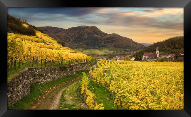 Famous Spitz village with autumn vineyards in Wach Framed Print by Sergey Fedoskin