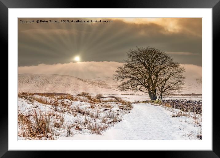 Snowtime at Ribblehead  Framed Mounted Print by Peter Stuart