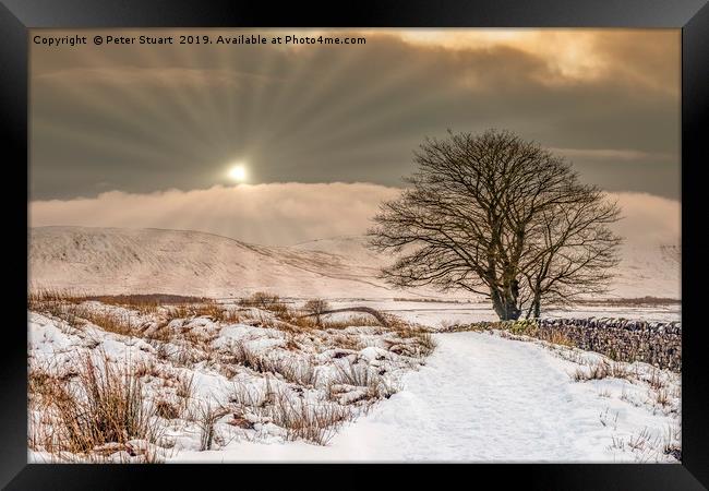 Snowtime at Ribblehead  Framed Print by Peter Stuart