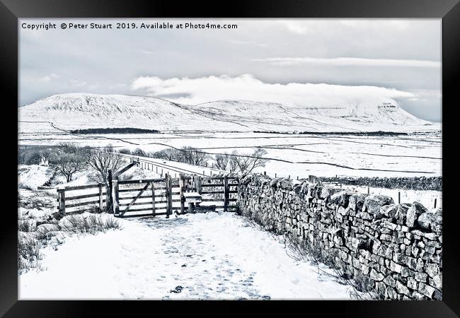 Ingleborough from Ribblehead  Framed Print by Peter Stuart