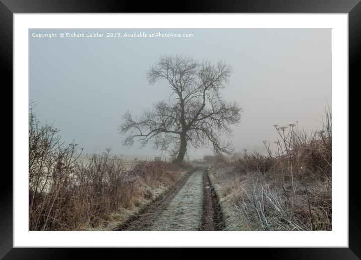 Ash Tree Silhouette in Frost and Fog Framed Mounted Print by Richard Laidler