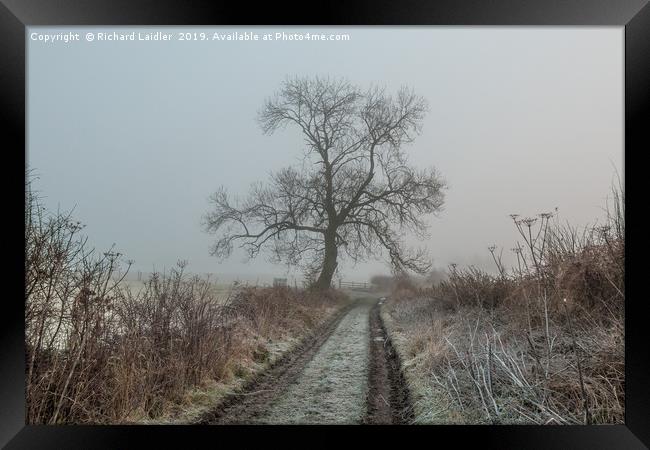 Ash Tree Silhouette in Frost and Fog Framed Print by Richard Laidler