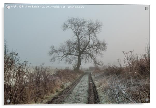 Ash Tree Silhouette in Frost and Fog Acrylic by Richard Laidler