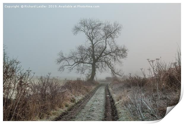 Ash Tree Silhouette in Frost and Fog Print by Richard Laidler