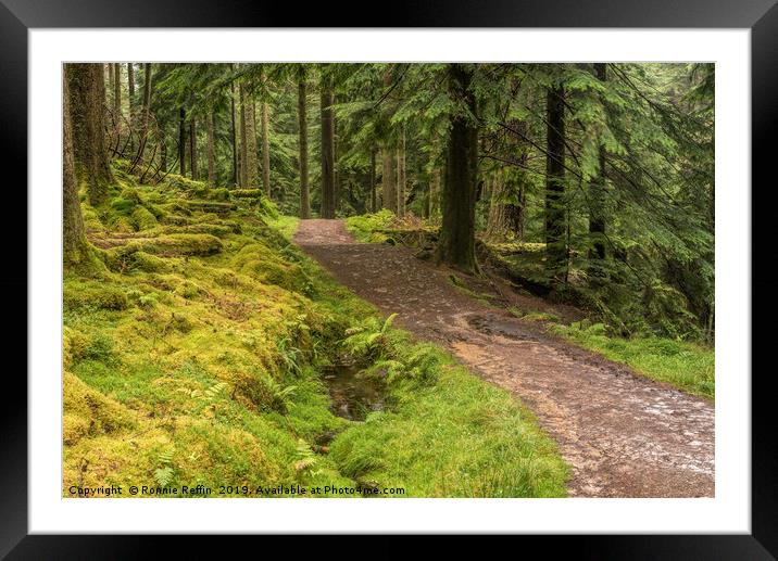 Woodland Path Framed Mounted Print by Ronnie Reffin