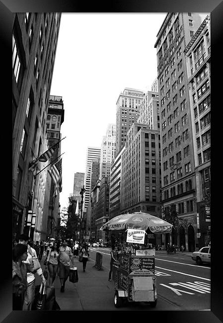 Fifth Avenue, New York Framed Print by David Gardener