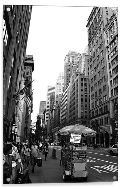 Fifth Avenue, New York Acrylic by David Gardener