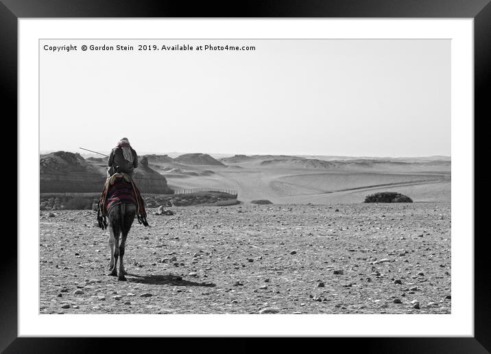 Into the Desert Framed Mounted Print by Gordon Stein