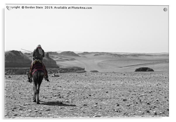 Into the Desert Acrylic by Gordon Stein