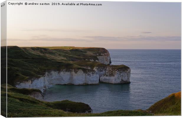 CLIFF SHADE Canvas Print by andrew saxton