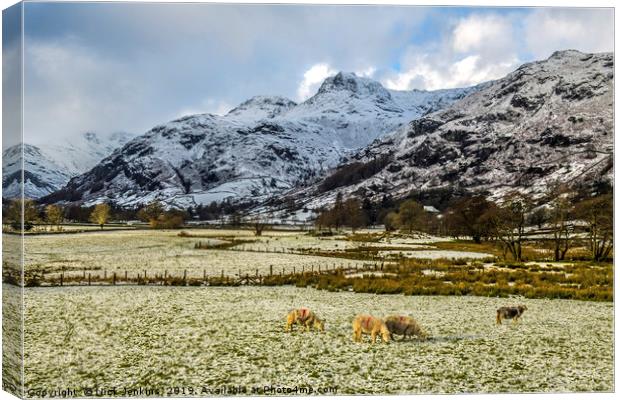 The Langdale Pikes in Winter Lake District Canvas Print by Nick Jenkins