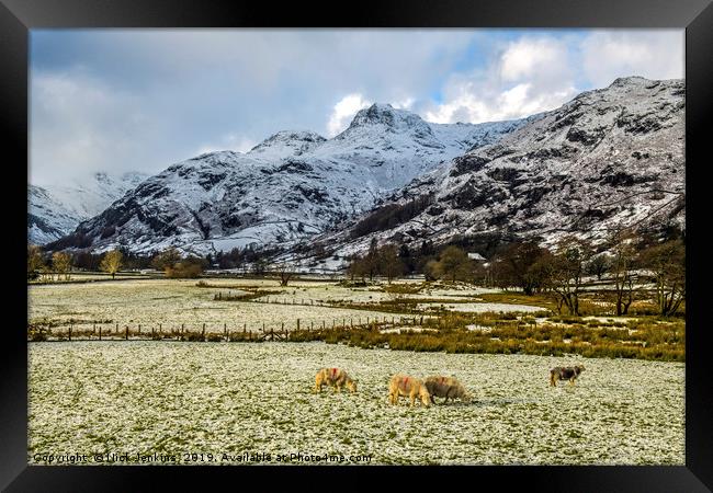 The Langdale Pikes in Winter Lake District Framed Print by Nick Jenkins
