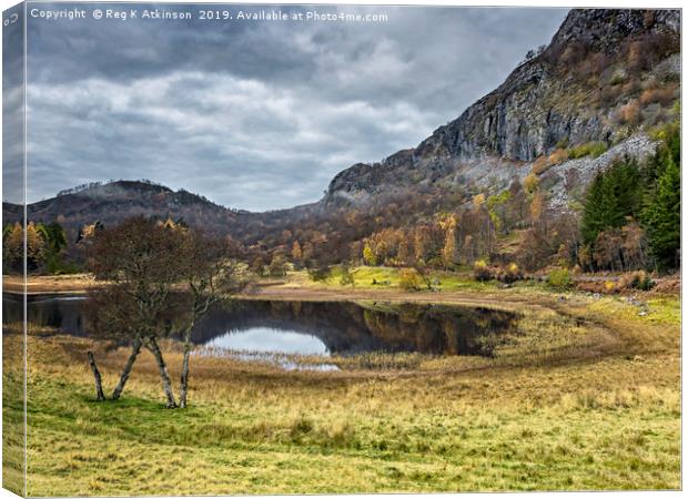 Highlands in Autumn Canvas Print by Reg K Atkinson