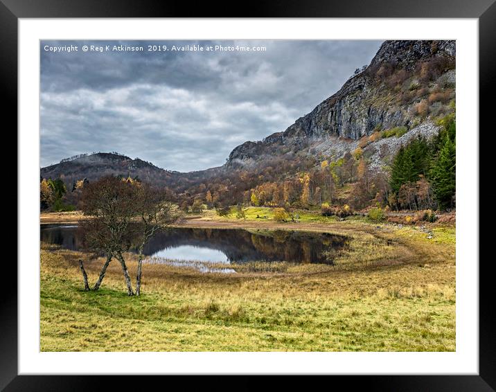 Highlands in Autumn Framed Mounted Print by Reg K Atkinson