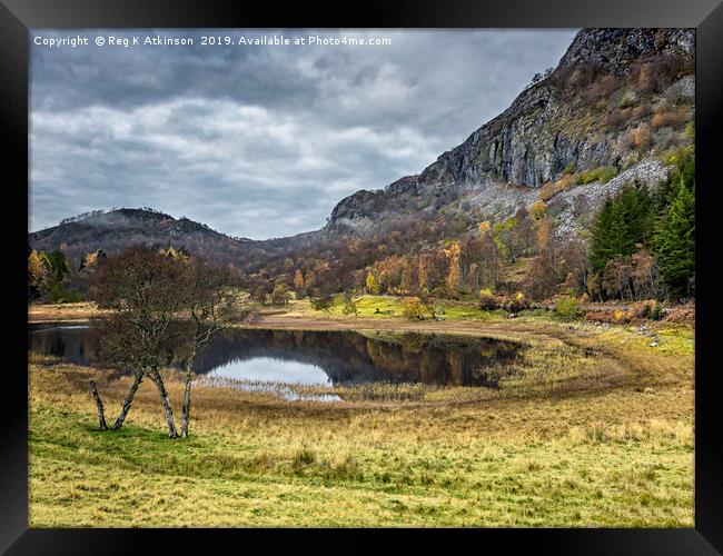Highlands in Autumn Framed Print by Reg K Atkinson