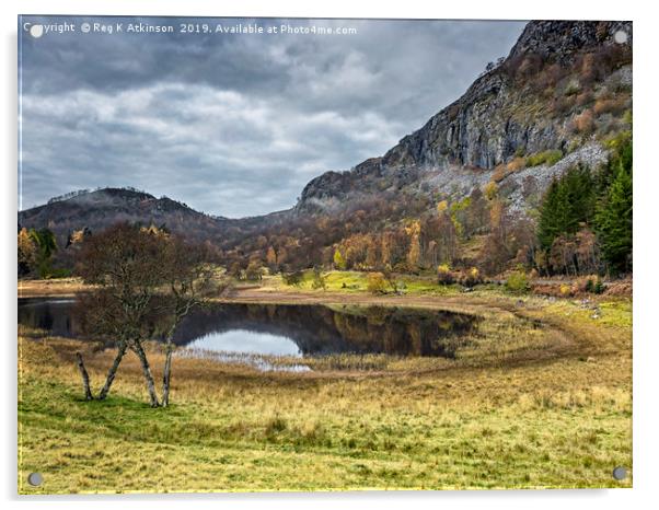 Highlands in Autumn Acrylic by Reg K Atkinson