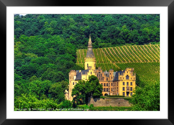 Castle Arenfels Framed Mounted Print by Tom Gomez