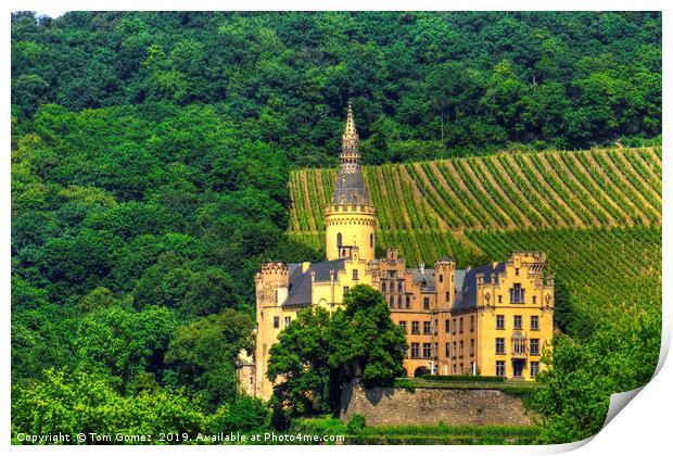 Castle Arenfels Print by Tom Gomez