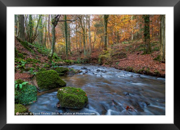 Late Autumn Brook Framed Mounted Print by David Tinsley