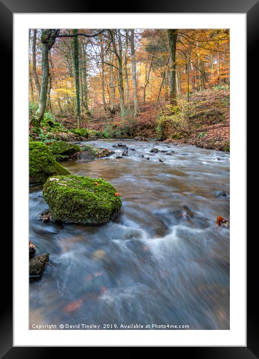 Late Autumn Brook Framed Mounted Print by David Tinsley