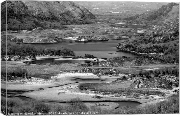 Ladies View, Killarney National Park, County Kerry Canvas Print by Aidan Moran