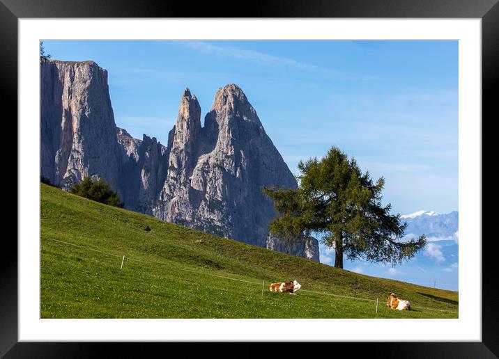 Alpe di Siusi Framed Mounted Print by Thomas Schaeffer