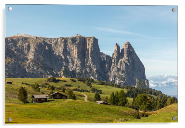 Alpe di Siusi Acrylic by Thomas Schaeffer