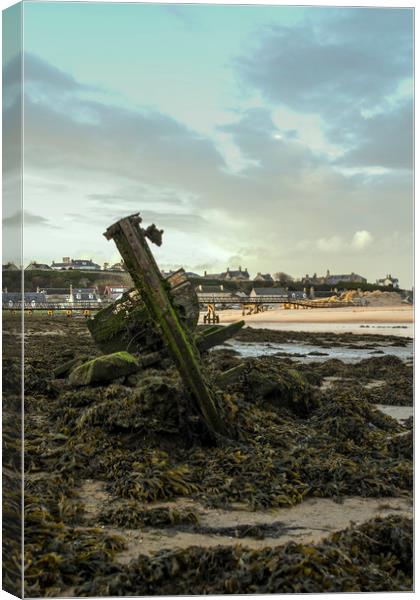 Old Beached Shipwreck Canvas Print by Mark Fraser